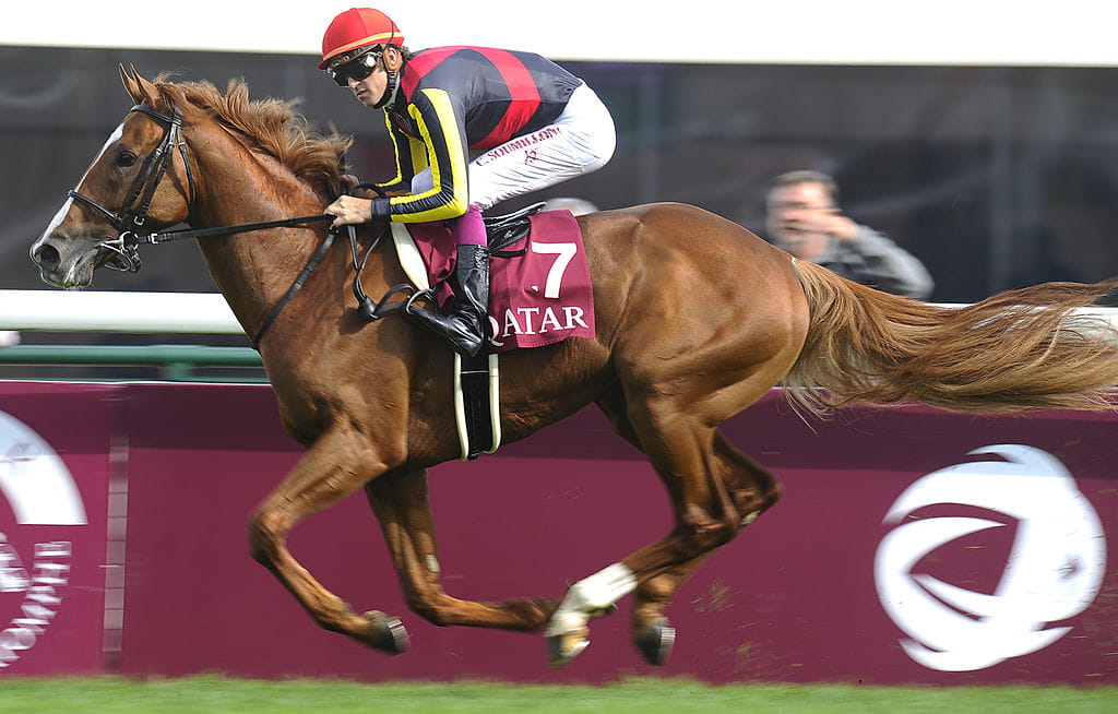 Christophe Soumillon riding Orfevre to win The Qatar Prix Foy at Longchamp racecourse in 2013. 