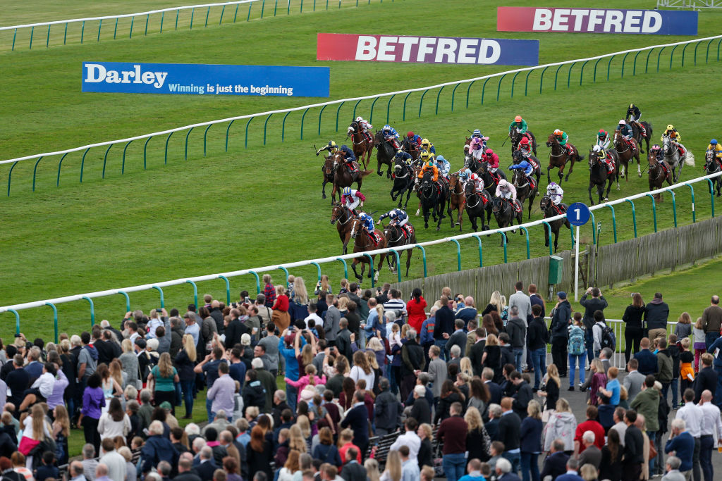 The field in the 2017 Betfred Cesarewitch enters the final furlong at Newmarket racecourse.